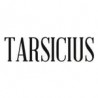 Tarsicius